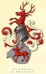 coatofarms-Tinhuus-Skinkel_medium