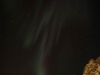 IMG_4254.jpg