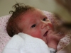 elena-2 001.jpg