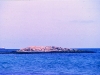 dias90.jpg
