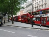 IMG_1765.jpg