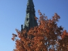 IMG_2645.jpg