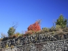 IMG_2656.jpg