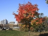IMG_2664.jpg