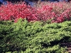 IMG_2683.jpg
