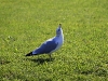 IMG_2685.jpg
