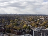 _MG_2859.jpg