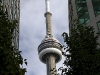 _MG_2878.jpg