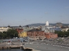 IMG_1505.jpg