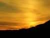 IMG_3846.jpg