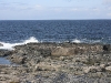 IMG_0172.jpg