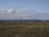 IMG_0182.jpg