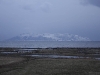 IMG_0210.jpg