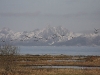 IMG_0226.jpg