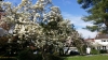 2014-04-10 15.47.21