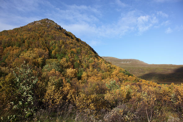 Litt meir trivelig i Æråsen!