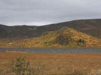 Høstlige farger i Æråsen