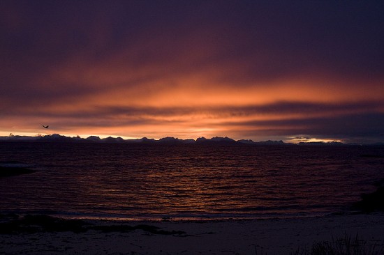 29.10 2008: Soloppgang over Senja