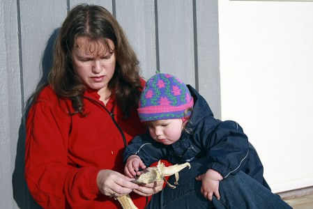 Jenten, sola og tørrfesken
