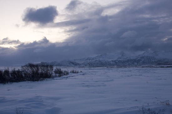 16.11 2008 - flott med vinter!