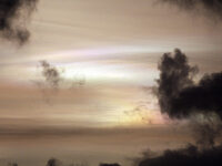 2. Juledag – vakre perlemorskya