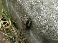 Dagens motto: Gje aldri opp!