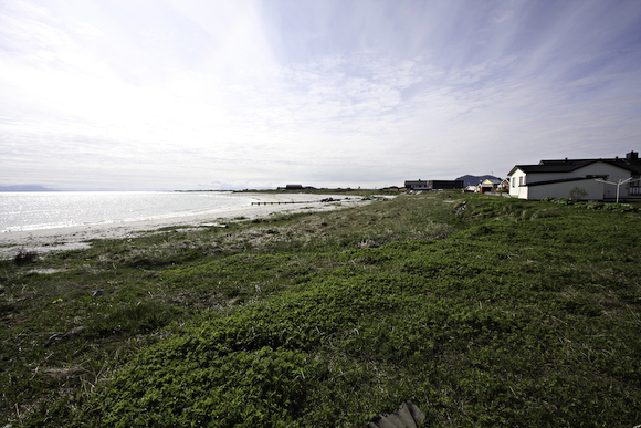 24.5 2009: Fjæra i Haugnesveien e ikkje som den va!!