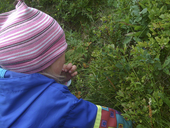 20.7 2009: Ho plukka masse sjøl!