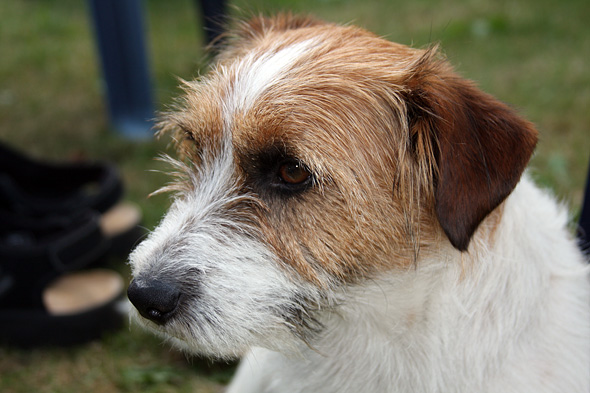 2.7 2009: Han "Kevin"...