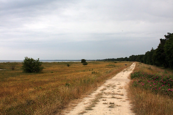 6.7 2009: På tur ned tell de danske sandstrender