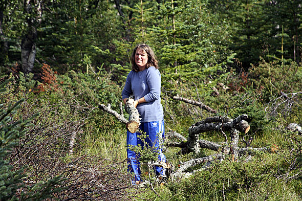 16.8 2009: Ho Lill i bæringa