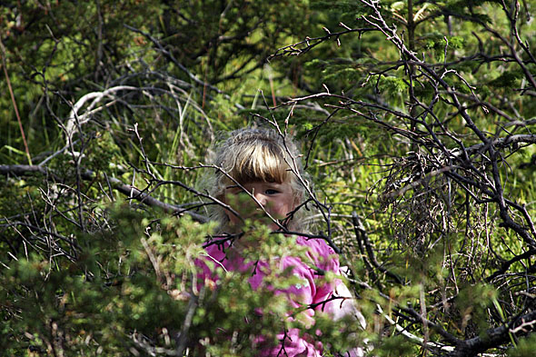 16.8 2009: Ho Elena hadde gått sæ fast i skogen