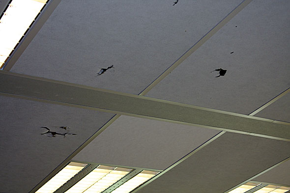 18.8 2009: Taket inne på verkstedet - fremdeles merka etter sprengninga på 90-tallet