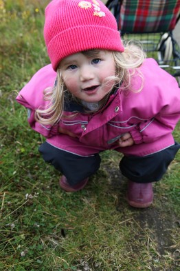 20.9 2009: Eller en liten lodden larve...