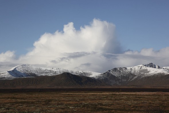 3.10 2009: Fjell, myre og bygeskya