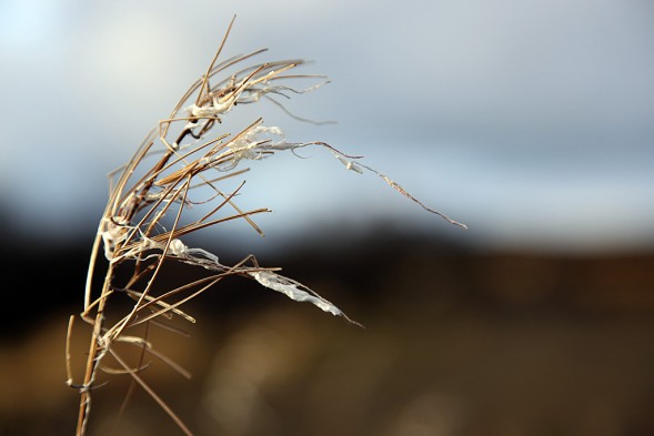 Høsten har festa grepet...