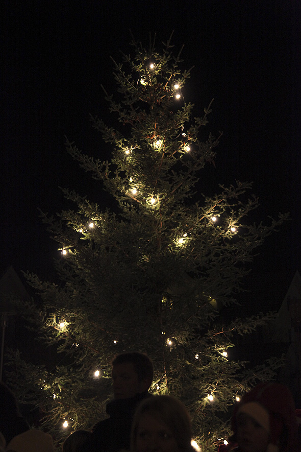 Så sto den der - julegrana fra Bleik, i all sin prakt