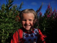 Ei rosa i den store buketten