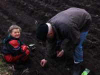 Potetsetting og grønnsaksplanting for Elena