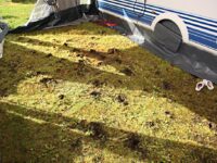 Jordrotta eller fam Blix Dahle som slit med vann???