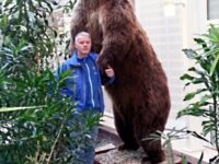 Kolbjørn og &laquo;bjørn&raquo;