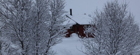 IMG_3213 (2)