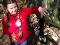 Den eine tøvsjura….