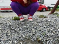 Bogen Fjordhotell, Tjeldegg og Elena