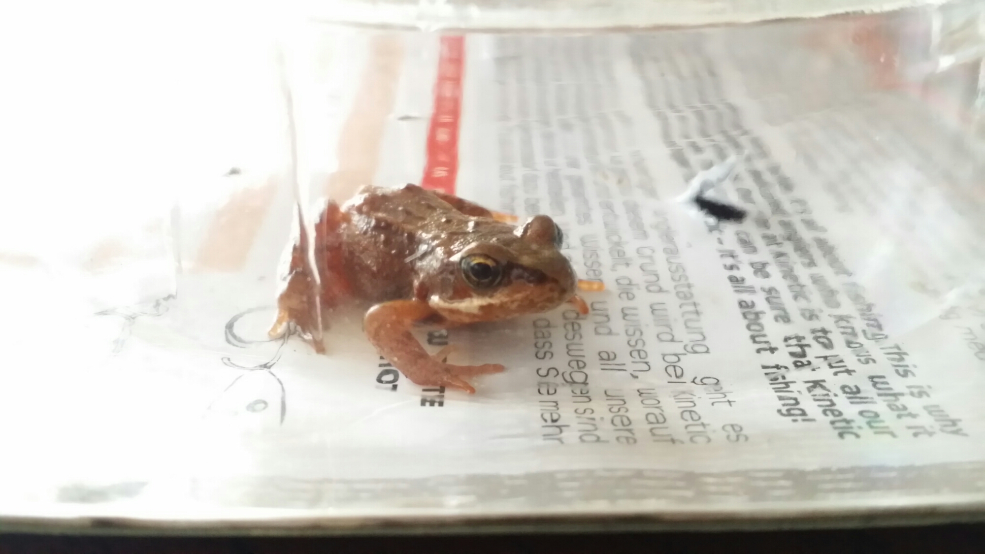 20140629_223955.jpg image