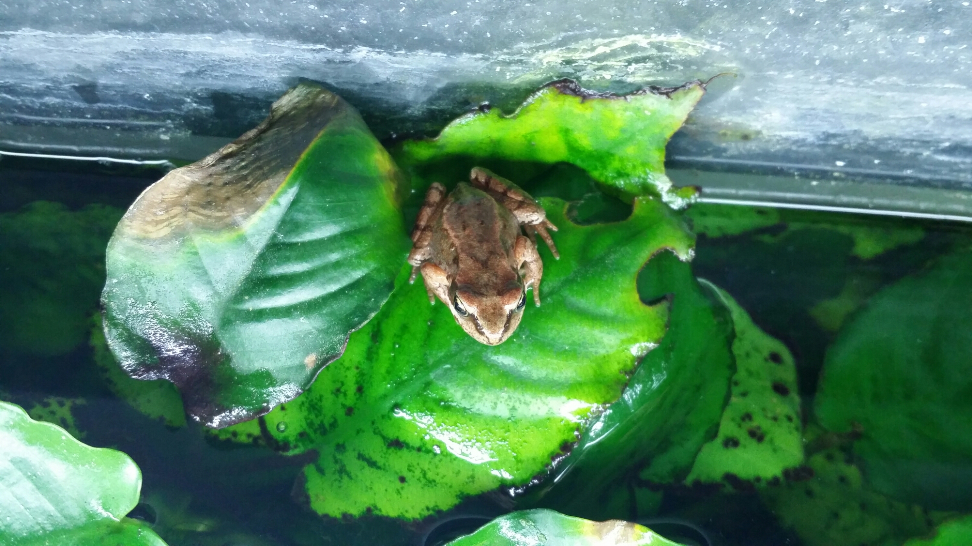 20140630_074410.jpg image