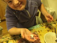 Så va det årets kjøttrullsying i gang