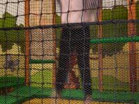 Våres lille spøkelse…