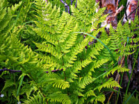 Det e nu ei flott tid vi e inne i…