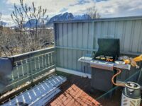 Dagen derpå, mellom elingan…